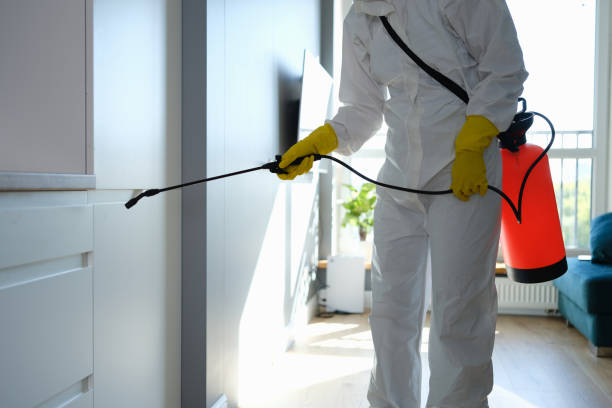 Best Professional Mold Removal  in De Soto, MO