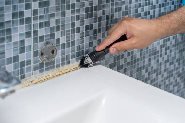 Best Affordable Mold Removal  in De Soto, MO